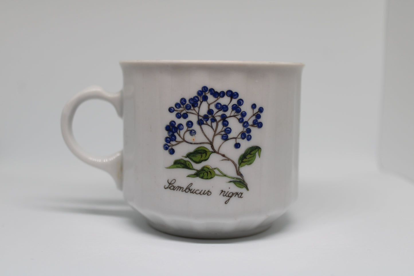 Seltmann Weiden Bavaria Tazzina Caffè Germania Ovest Porcellana