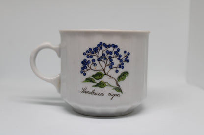 Seltmann Weiden Bavaria Tazzina Caffè Germania Ovest Porcellana