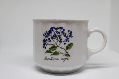 Seltmann Weiden Bavaria Tazzina Caffè Germania Ovest Porcellana