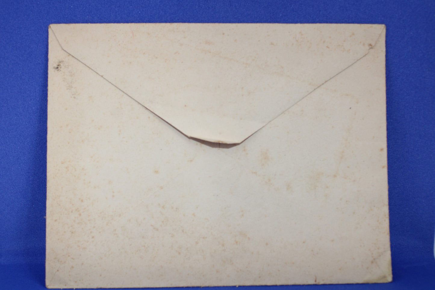 Stampa "Benedizione" di San Francesco Patrono d'Italia