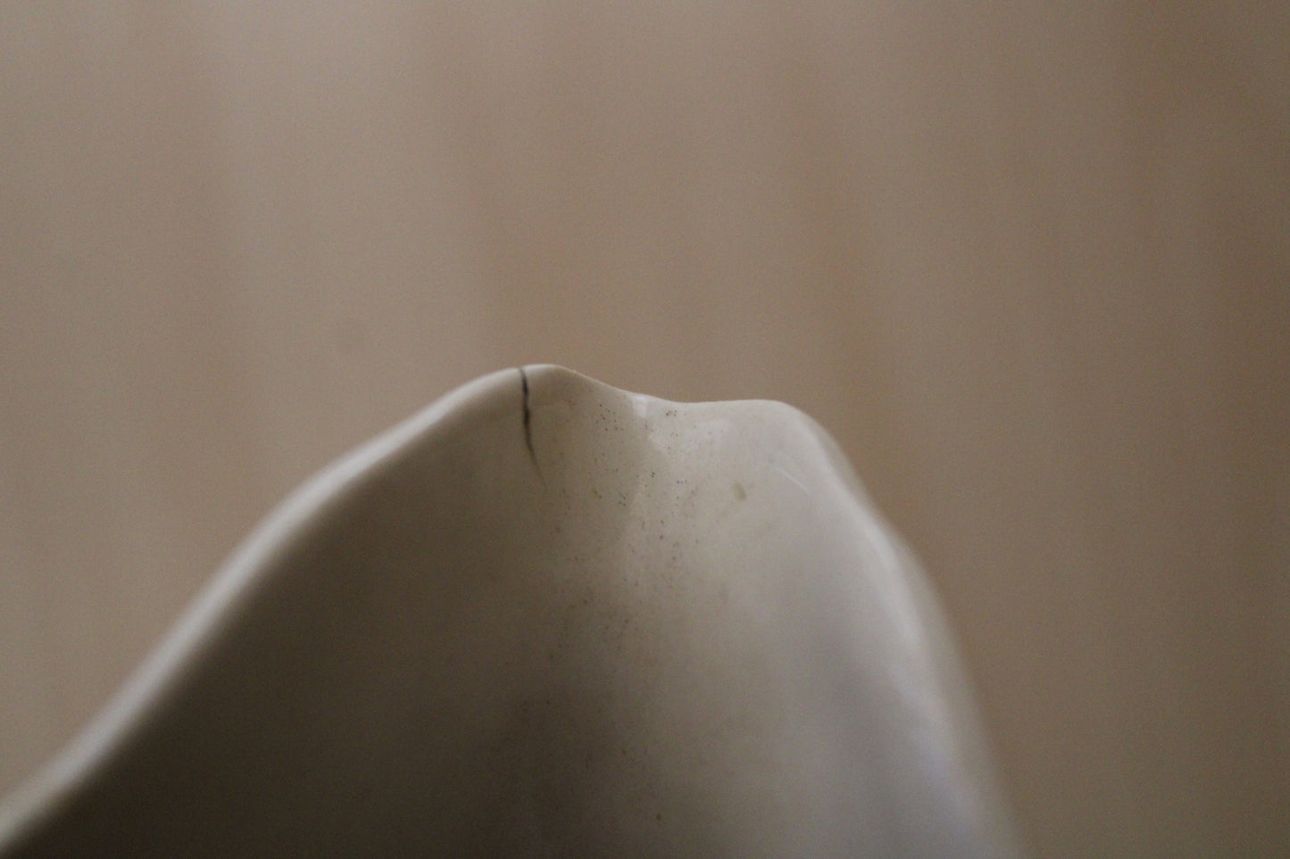 Coppia di Caraffe in Porcellana Cecoslovacchia XX° secolo Vintage Crema