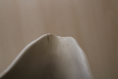 Coppia di Caraffe in Porcellana Cecoslovacchia XX° secolo Vintage Crema