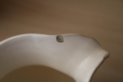 Coppia di Caraffe in Porcellana Cecoslovacchia XX° secolo Vintage Crema